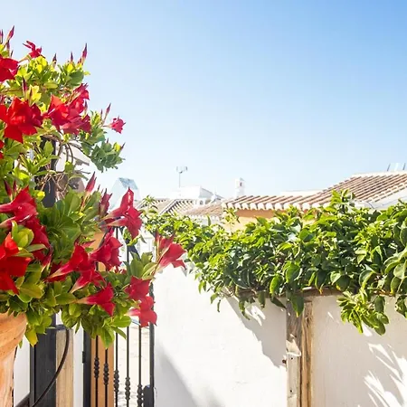 Sofia * Nerja